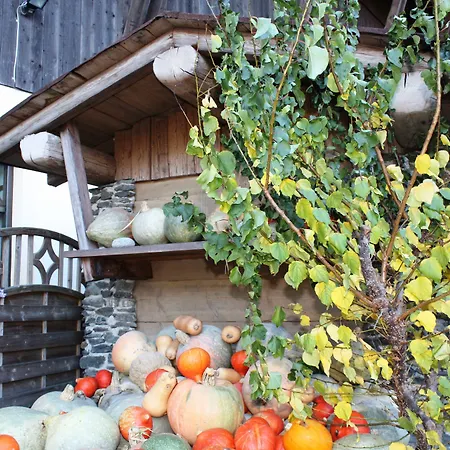 Kampfl Guest house